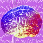 Fale mózgowe Fale mózgowe