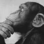 filozofia Psychoanalityczne podejścia na czynności pomyłkowe towarzyszące życiu codziennemu