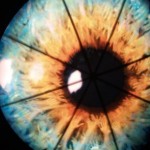 sugestywność Jak zwiększyć sugestywność