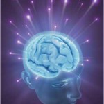 human-brain-2 human-brain-2